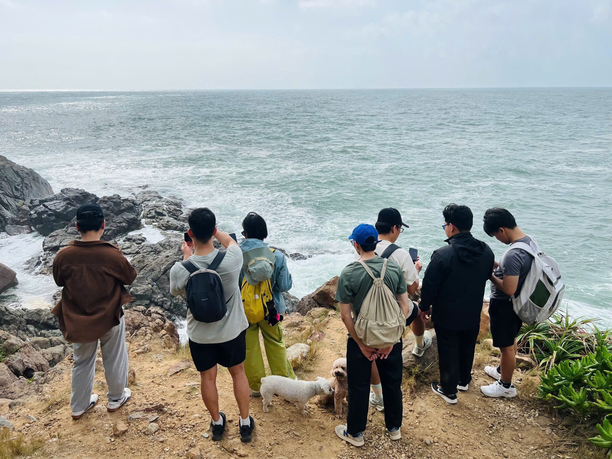 ソンチャ半島東側の岩場の上に立ち、白波が砕ける荒れた海を見下ろす7人のグループと2匹の犬