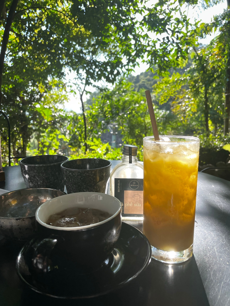 森に囲まれたテーブルに置かれたコーヒーと冷たいフルーツドリンク